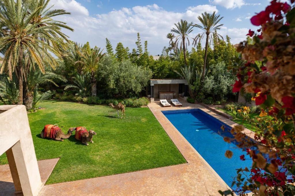 Villa Sahar Palmeraie Avec Piscine Chauffee ! Marrakesz Zewnętrze zdjęcie